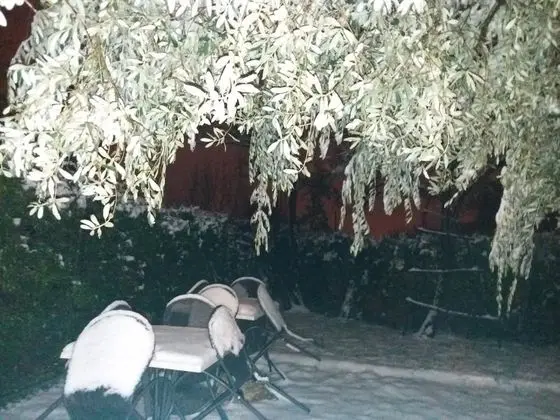 Agriturismo Corte Carolina - Dış Mekan
