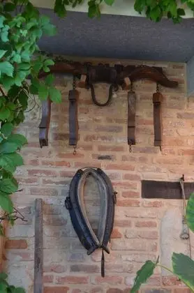 Agriturismo corte di Gerardo - Dış Mekan