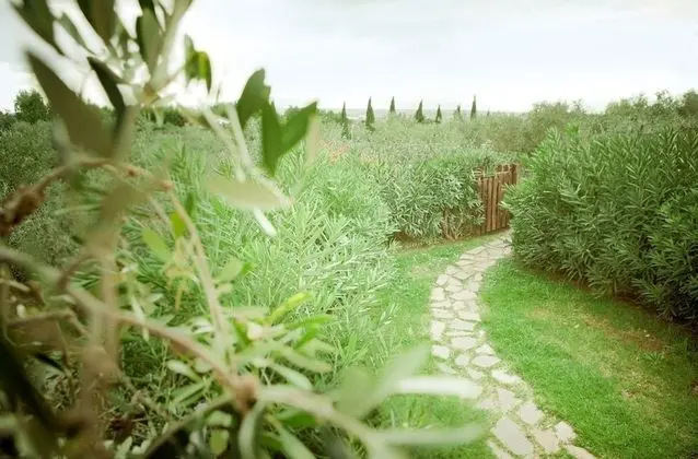 Agriturismo Costa Etrusca - Dış Mekan
