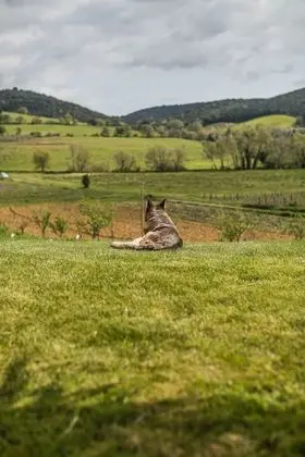 Agriturismo Cupido - Dış Mekan