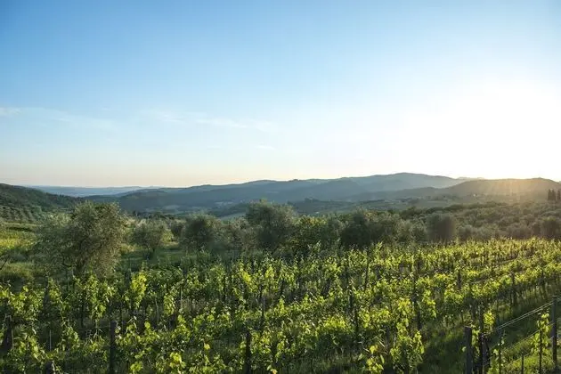 Agriturismo Fattoria Lavacchio - Dış Mekan