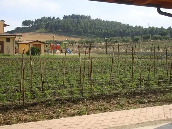 Agriturismo Fieri - Dış Mekan