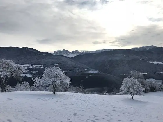 Agriturismo Gfaderhof Ferienwohnungen - Dış Mekan