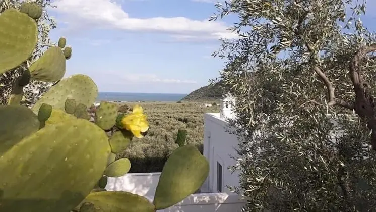 Agriturismo Giorgio