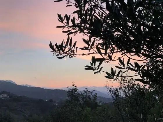 Agriturismo Gocce di Luna - Dış Mekan