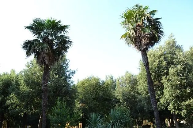 Agriturismo Villa Graziani - Dış Mekan