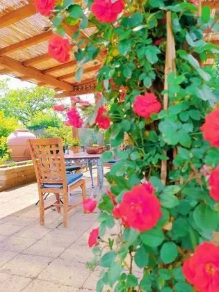 Agriturismo I Casamenti - Dış Mekan