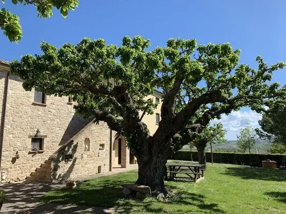 Agriturismo I Mori
