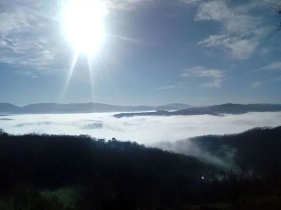 Agriturismo Il Beccafico Alpaca