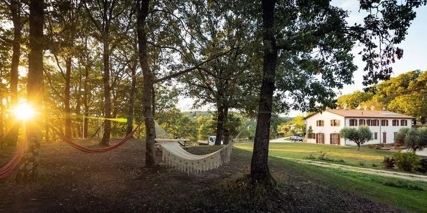 Agriturismo Il Beccafico Alpaca