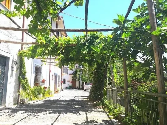 Agriturismo Il Castagno - Öne Çıkan Resim