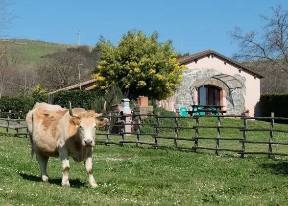 Agriturismo Il Castoro
