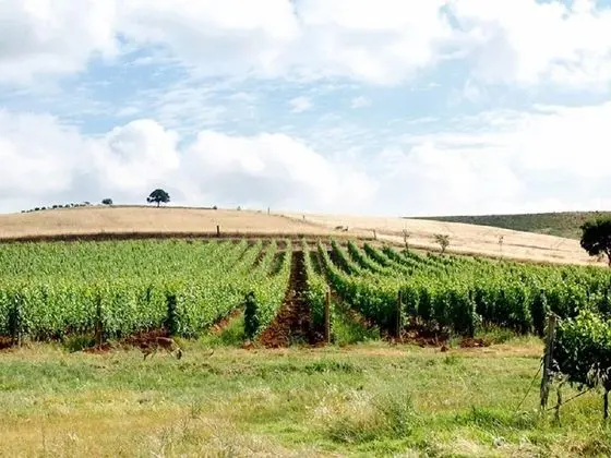 Agriturismo Il Gaggiolo - Dış Mekan
