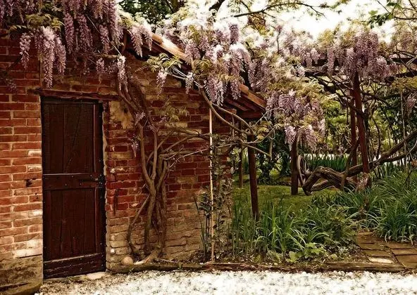 Agriturismo Il Gioco dell'Oca - Dış Mekan