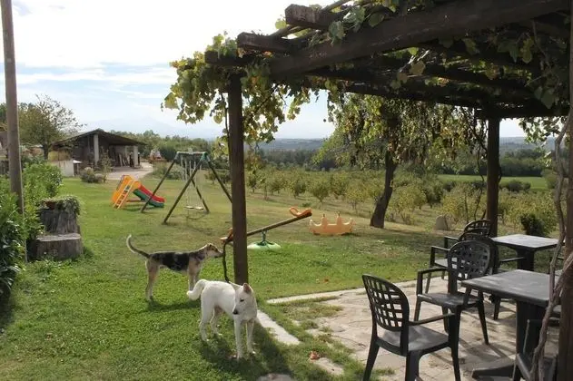 Agriturismo Il Palazzetto - Dış Mekan
