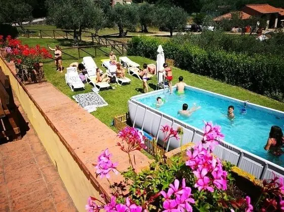 Agriturismo Il Pintello - Havuz