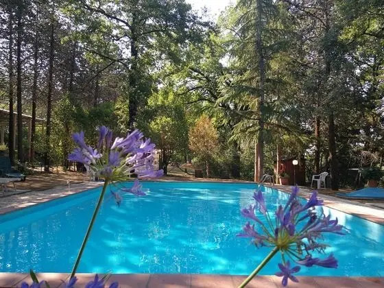 Agriturismo Il Pornelleto