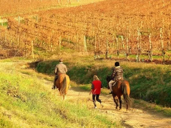 Agriturismo il Rifugio - Dış Mekan