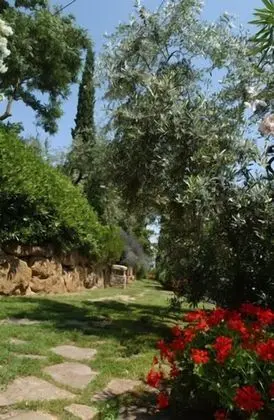 Agriturismo Il Sapito - Dış Mekan