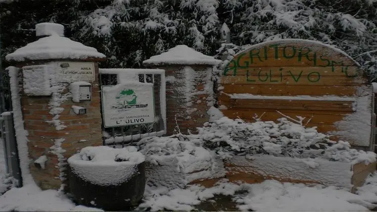 Agriturismo L' Ulivo - Dış Mekan