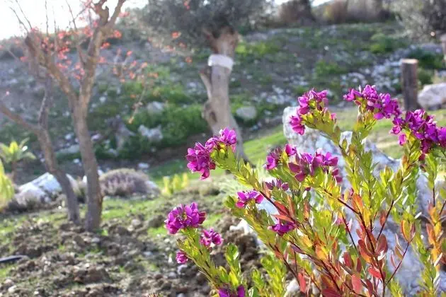 Agriturismo La Casa di Bacco - Dış Mekan