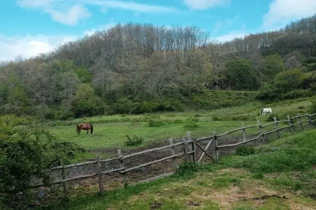 Agriturismo La Casina della Burraia - Dış Mekan