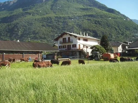 Agriturismo La Grange - Dış Mekan