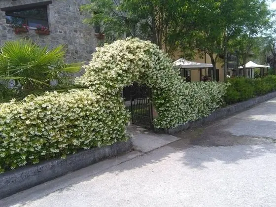Agriturismo La Locanda del Gallo - Dış Mekan
