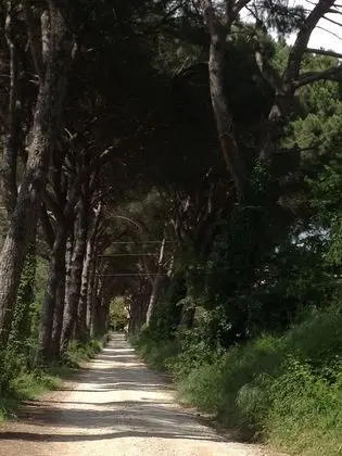 Agriturismo La Montagnola - Lobi