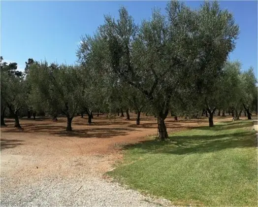 Agriturismo La Paiara - Dış Mekan