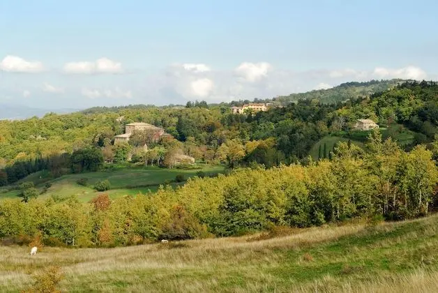 - Agriturismo La Piaggia - Forest View Apartment on the Ground Floor 2 Guests - Dış Mekan