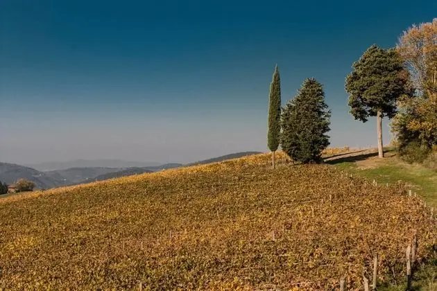 Agriturismo La Pieve - Dış Mekan
