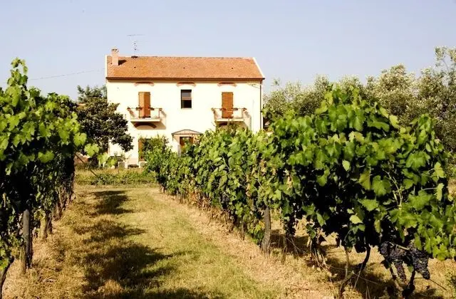 Agriturismo La pulledraia - Dış Mekan