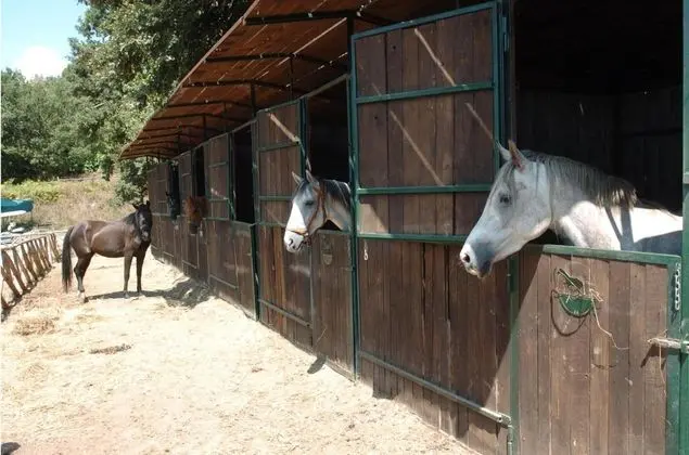 Agriturismo La Riserva Di Montebello - Genel