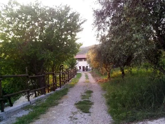 Agriturismo La Rocca degli Ulivi - Dış Mekan