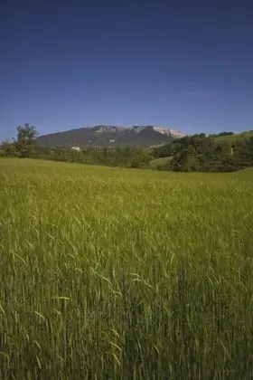 Agriturismo La Spiga d'Oro - Dış Mekan