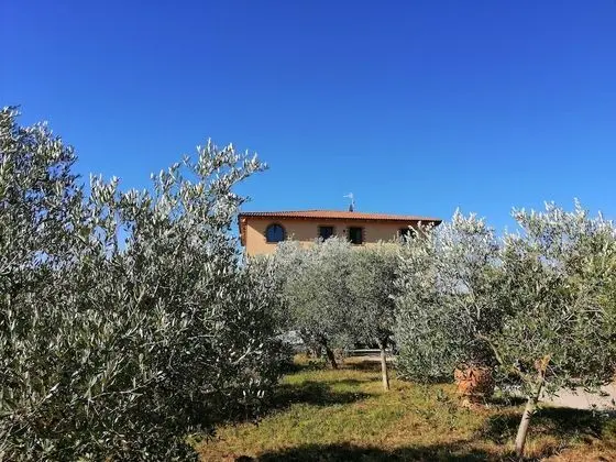Agriturismo La Steccaia Alta
