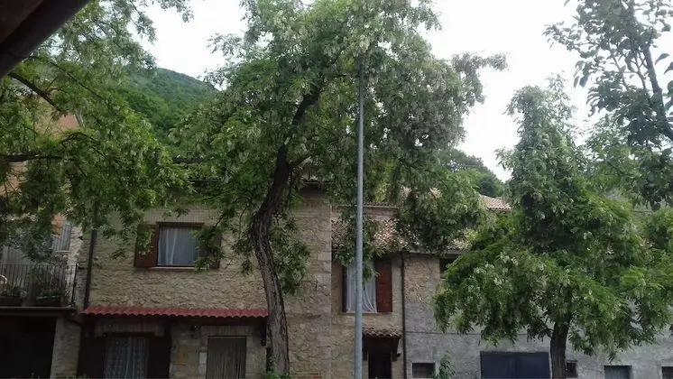 Agriturismo Le Acacie - 1