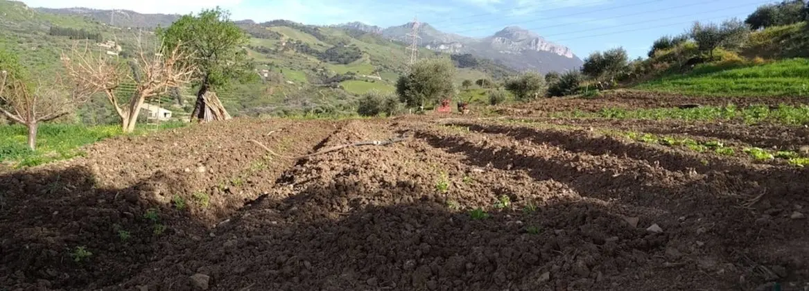Agriturismo le Campanelle - Dış Mekan