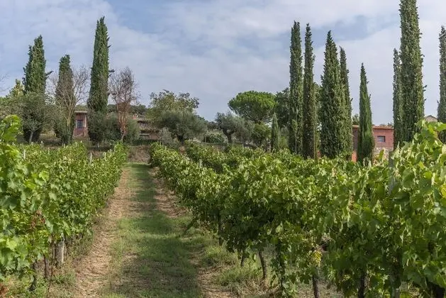 Agriturismo Le Case Rosse di Montebuono - Dış Mekan
