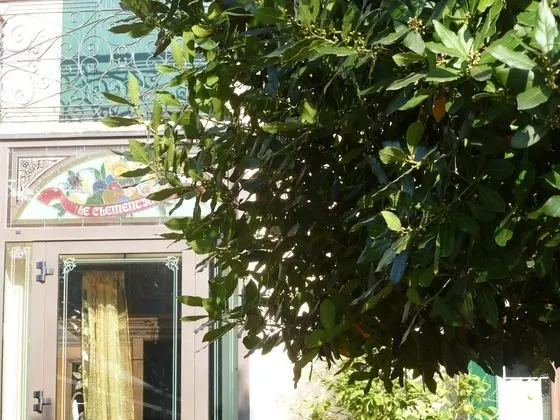Agriturismo Le Clementine - Öne Çıkan Resim