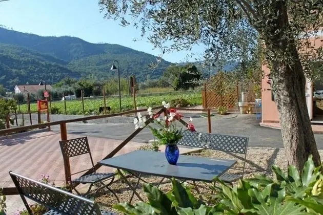 Agriturismo Le Collinette