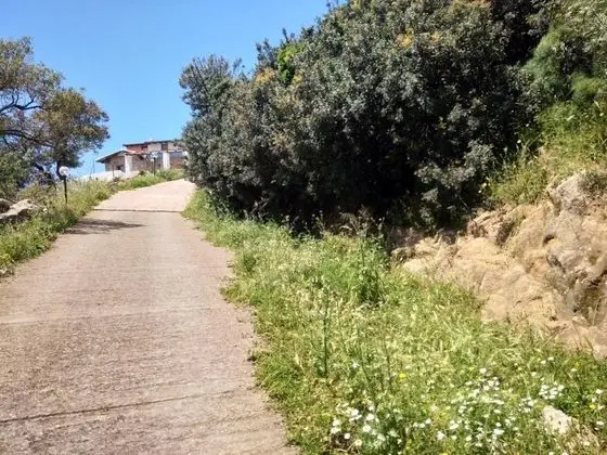 Agriturismo Lo Scrigno - Dış Mekan