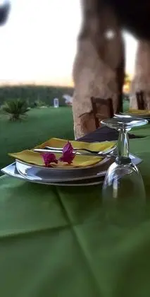 Agriturismo Lu Nodu - Yerinde Yemek