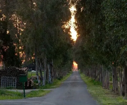 Agriturismo Magnaboschi - Lobi