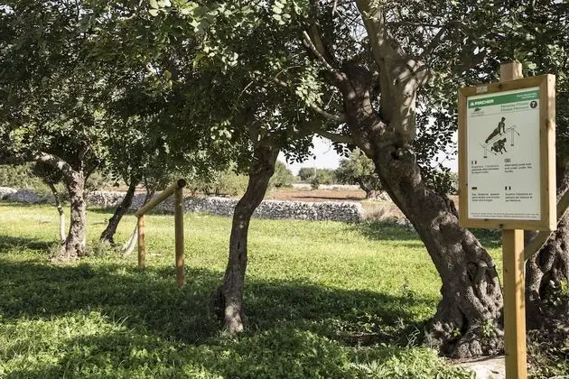 Agriturismo Masseria Cianciò - Dış Mekan