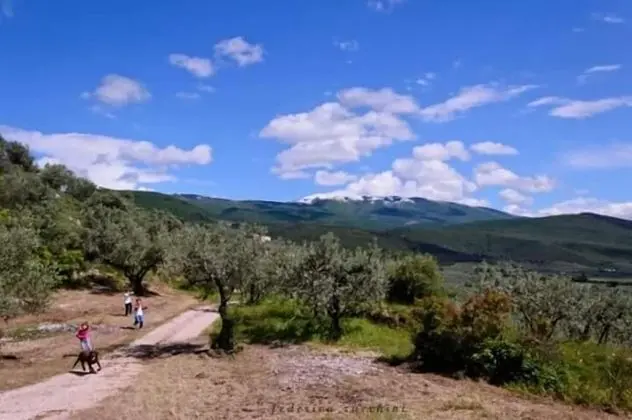 Agriturismo Monte Cologna - Dış Mekan