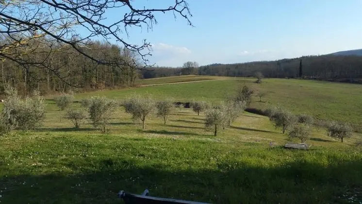 Agriturismo Natura e Salute - Dış Mekan