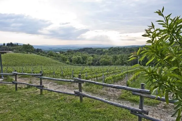 Agriturismo Oliviera