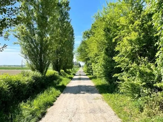 Agriturismo Palazzo Minelli - Genel
